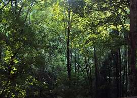 Vintage Villa With Private Garden in Rendeux