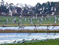 Holiday Home, Oevenum
