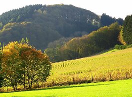 Apartment in Schmallenberg-oberkirchen With Terrace