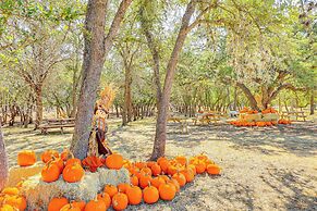 Rescue Ranch Retreat w/ Goats, Horses & Chickens!