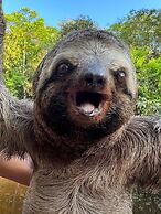 Pousada Cabana Nativa Paraíso