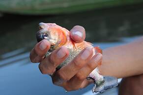 Pousada Cabana Nativa Paraíso