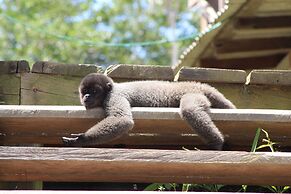 Pousada Cabana Nativa Paraíso