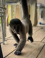 Pousada Cabana Nativa Paraíso