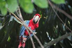 Pousada Cabana Nativa Paraíso