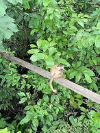 Pousada Cabana Nativa Paraíso