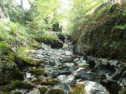 Tranquil Lodge Retreat in Penegoes