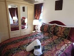 Millpond Chalet Retreat in Machynlleth