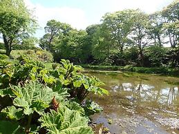 Millpond Chalet Retreat in Machynlleth