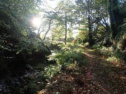 Welsh Countryside Retreat - Felin Crewi Cottages