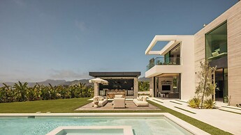 The Dume Legacy