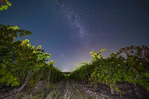 Furche Barossa Vineyard & Fireplace