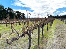 Barossa Getaway GabbyHouse with Vineyard