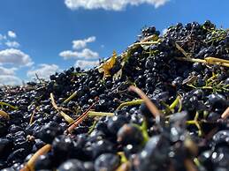 The Red Door at Barossa Valley