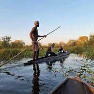 Moremi Enclave Resort