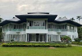 The Postcard in the Durrung Tea Estate