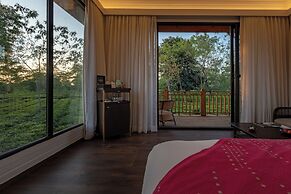 The Postcard in the Durrung Tea Estate