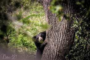 Epic Wild Wilpattu