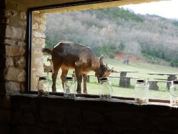 Le Domaine Du Castellas