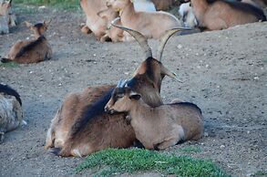 Le Domaine Du Castellas