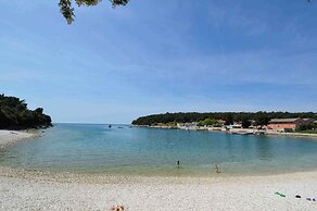 Apartments in Pula/istrien 10949