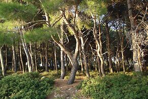 Apartments in Pula/istrien 11069