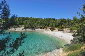 Apartments in Pula/istrien 11069