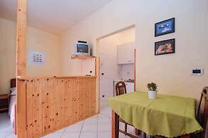 Apartments Pjescana Uvala/istrien 11166