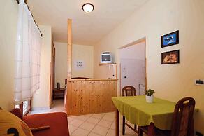 Apartments Pjescana Uvala/istrien 11166