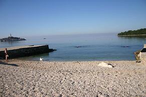 Apartments in Rovinj/istrien 11491