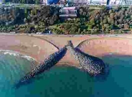 Folkestone - 1BR Apartment - Sauna - Pet Friendly