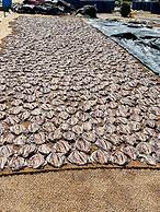 La Cozy Hotel & Restaurant