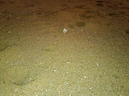 La Cozy Hotel & Restaurant