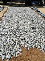 La Cozy Hotel & Restaurant