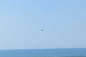Coastal Retreat, Sleeps 6 - Near Beach w Parking