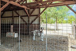 Hot Tub Pool Firepit Gameroom Guesthouse