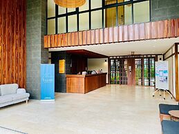 The Title V by The Esquire