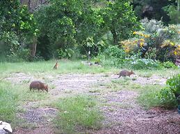 Quandong Valley Inn