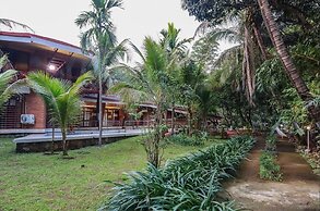 White Triangle By Joy Suites