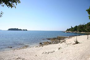 Apartments in Rovinj/istrien 11528