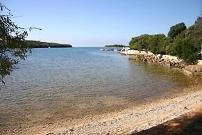 Apartments in Rovinj/istrien 11545