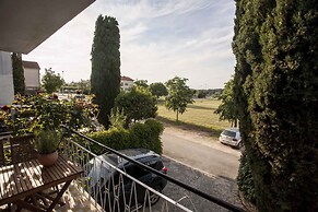 Apartments in Rovinj/istrien 11545