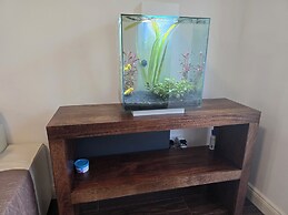 Free Private Transport From Any Dublin Port