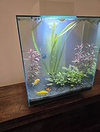 Free Private Transport From Any Dublin Port