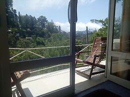 Ella Delightful Surround