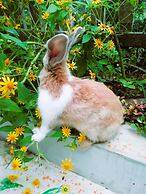 Ella Delightful Surround