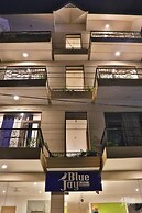 The Blue Jay Hostel | Dorms & Rooms