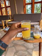 Gorilla Bluff Lodge