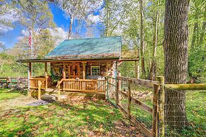 9 Mi to Creeper Trail: Woodsy Abingdon Cabin