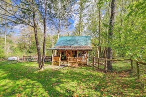 9 Mi to Creeper Trail: Woodsy Abingdon Cabin